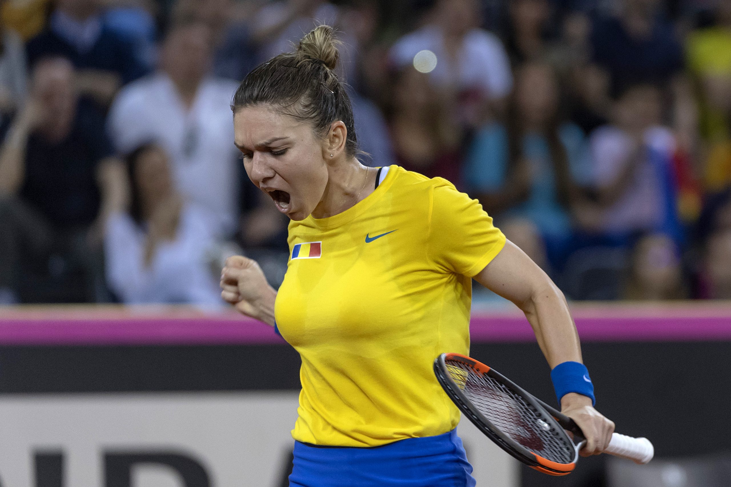 Simona Halep vrea să fie căpitan la Fed Cup