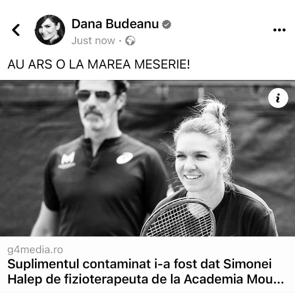 S-a băgat și Dana Budeanu în cazul Simona Halep